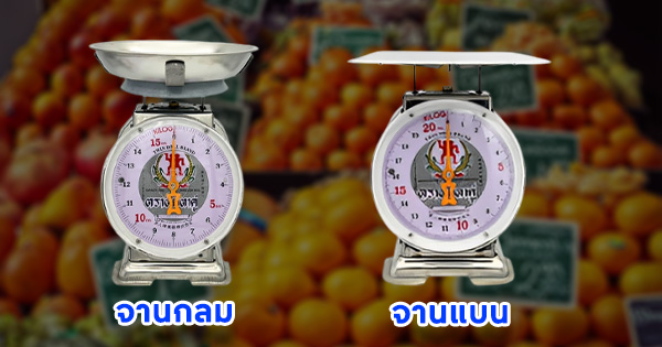 ข้อดีของเครื่องชั่งสปริงสแตนเลส