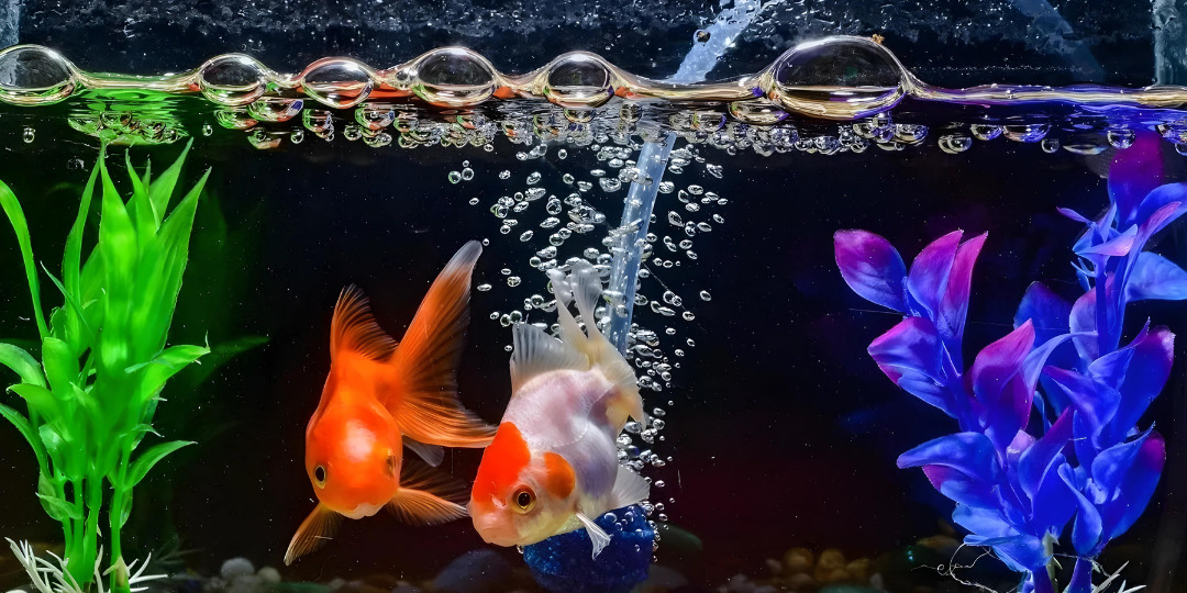 สายยางใสอ๊อกซิเจน สายยางใสอ๊อกซิเจน